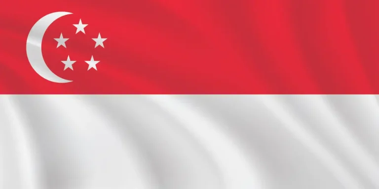 img-flag-shop-flags-of-the-world-singapore-flag-1-2-768x384